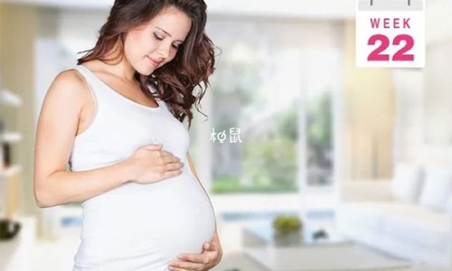 孕妇早上喝什么粥好？